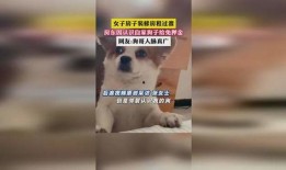 狗哥爆料狗粮视频播放,狗粮视频播放背后的秘密